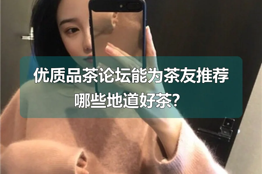 优质品茶论坛能为茶友推荐哪些地道好茶?